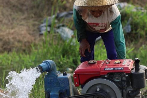 Antisipasi Lahan Pertanian Terendam Banjir, Kementan Siapkan Pompanisasi hingga Asuransi Pertanian 
