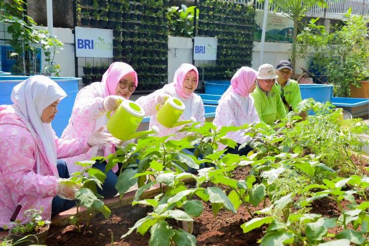 BRI melakukan pemberdayaan wanita dengan program urban farming di daerah kota padat penduduk. 