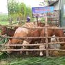 Jelang Ramadhan dan Lebaran, Sapi asal Jatim Siap Penuhi Kebutuhan Jabodetabek dan Bandung Raya