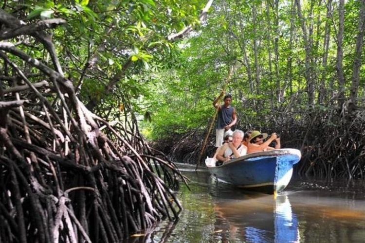 Hutan Mangrove atau bakau di Kabupaten Bangka Tengah, Provinsi Bangka Belitung.