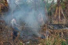 Kebakaran Lahan di Tanimbar, Anggota Babinkantibmas dan Petani Padamkan Api dengan Cara Apa Adanya