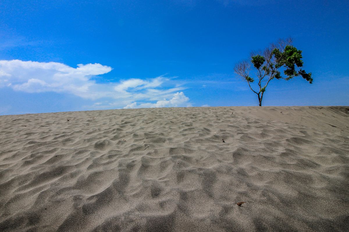 Gumuk Pasir Parangkusumo, Yogyakarta