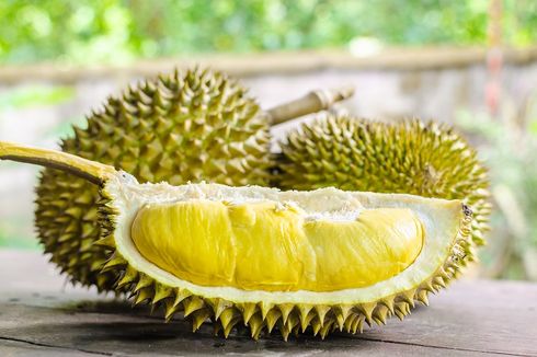 Durian Super Tembaga Klamunod dari Bangka Belitung, Punya Peluang Ekspor