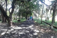 Kebun Raya Purwodadi di Pasuruan, Harga Tiket, Jam Buka, dan Koleksi