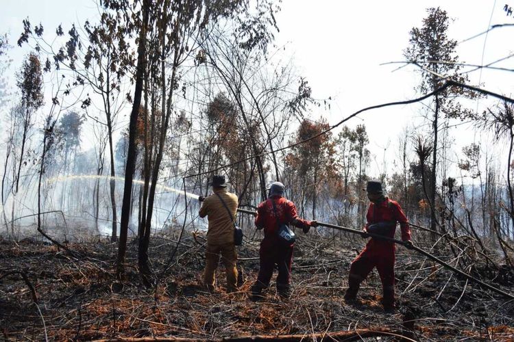 Tim BBKSDA Riau berjibaku memadamkan api karhutla di kawasan Cagar Biosfer Giam Siak Kecil di Kabupaten Bengkalis, Riau, Rabu (3/3/2021).