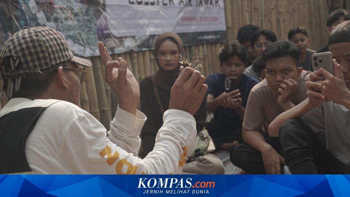 Dorong Kemandirian Ekonomi, Dompet Dhuafa Latih Pemuda Budi Daya Lobster Air Tawar