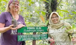 Peringati Hari Bumi, ULM dan Universitas di Kanada Tanam 100 Pohon Ulin