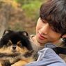 Yeontan, Anjing V BTS Telah Jalani Dua Kali Operasi dalam Setahun