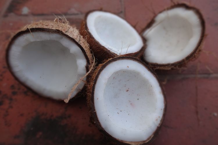 Ilustrasi batok kelapa.