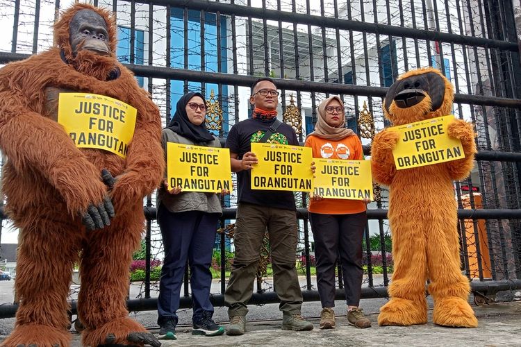 Sejumlah aktivis lingkungan yang melakukan aksi damai di depan Kejati Sumut pada Senin (4/9/2023) karena prihatin dengan vonis 2 bulan penjara kepada eks Bupati Langkat, Terbit Rencana Perangin-angin (TRP) atas kepemilikan orangutan dan satwa liar dilindungi lainnya. Aksi mereka sebagai bentuk dorongan agar JPU mengajukan banding atas vonis Majelis Hakim PN Stabat.
