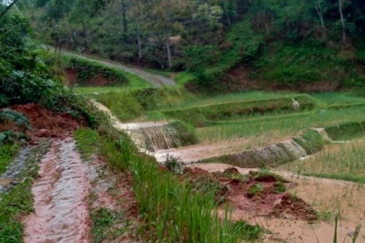 Bencana banjir menutup sawah petani di sejumlah kecamatan di Cianjur, Senin (8/11/2021).