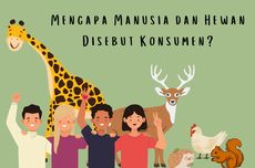 Mengapa Manusia dan Hewan Disebut Konsumen?