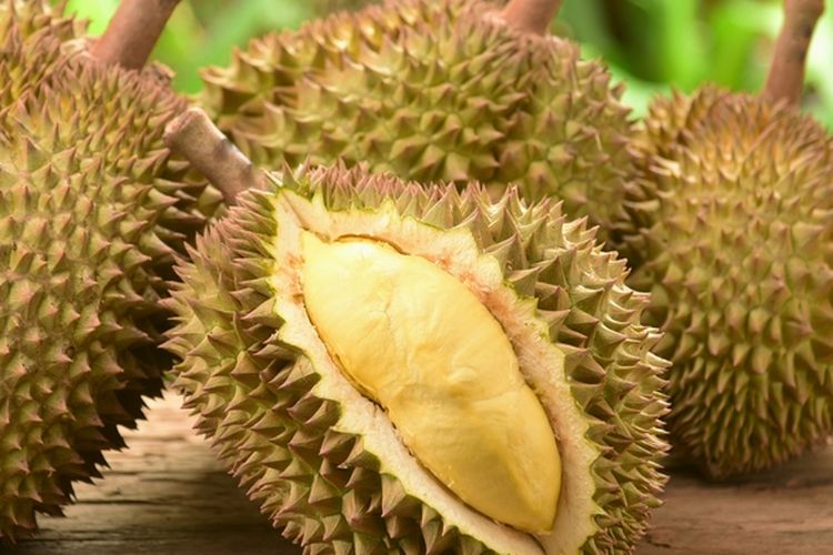 Ilustrasi buah durian.