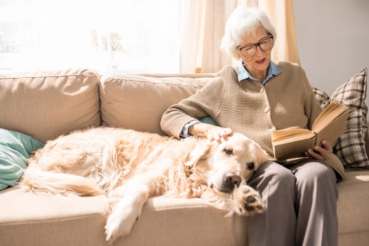 Memiliki hewan peliharaan bisa memperlambat penurunan fungsi kognitif pada lansia