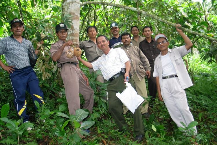 Pada Akhir Februari 2007 Dr. Mohammad Reza Tirtawinata Manager R & D di Taman Buah
Mekarsari saat itu menerima kiriman paket dari Ir Abdullah A Karim, MSi, kepala Balai
Pengawasan dan Sertifi kasi Benih Tanaman Pangan dan Hortikultura (BPSBTPH) NTB.
