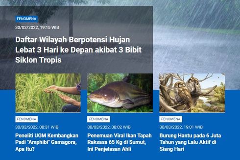 [POPULER SAINS] Potensi Hujan Lebat akibat 3 Bibit Siklon Tropis | Padi Amphibi | Burung Hantu Aktif di Siang Hari