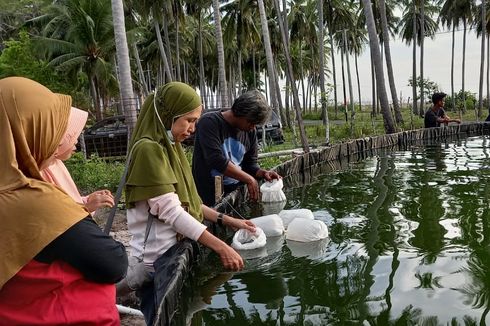 Kementerian KP Diseminasikan Keunggulan Tambak Milenial kepada Generasi Muda