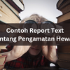 contoh soal essay explanation text tsunami