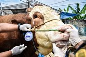 Hukum Menjual Daging Kurban, Haram atau Boleh? Ini Kata Ulama
