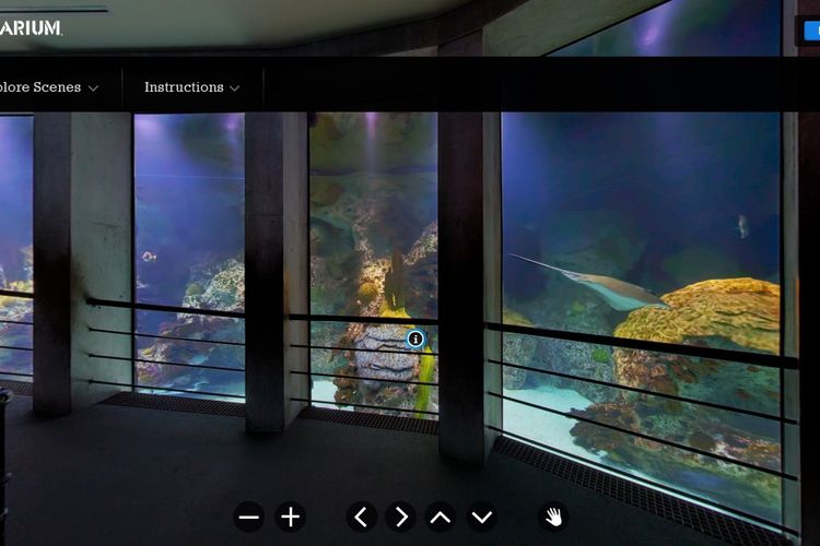Virtual tur di National Aquarium, Baltimore, Amerika Serikat