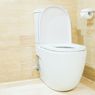 Ketahui Standar Toilet Disabilitas di Area Publik