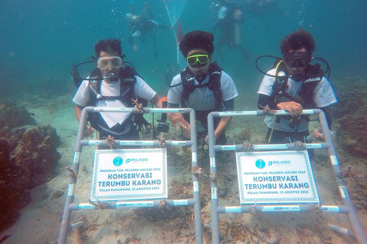 SPTP dan IPC TPK bersama LUC dan Pokdarwis Pulau Pahawang melakukan penanaman bibit terumbu karang di Pulau Pahawang, Kabupaten Pesawaran, Provinsi Lampung.