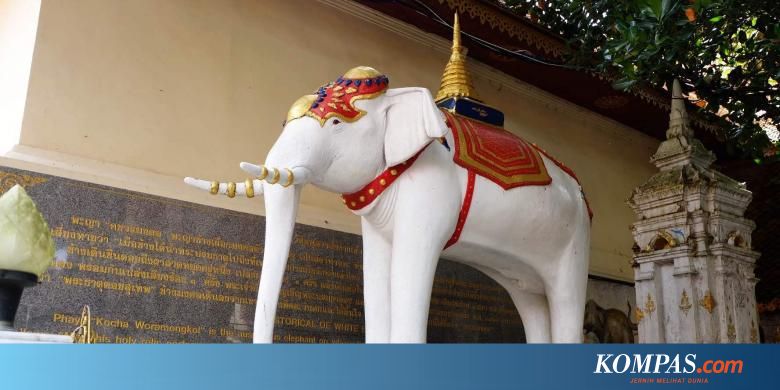 Mengapa Thailand Dijuluki Negeri Gajah Putih