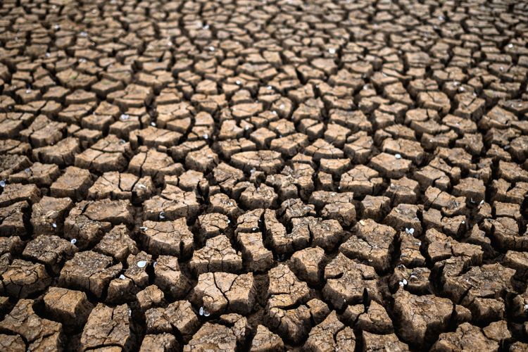 Hadapi Kemarau Panjang, Cianjur Waspadai Kekeringan di Sejumlah Wilayah