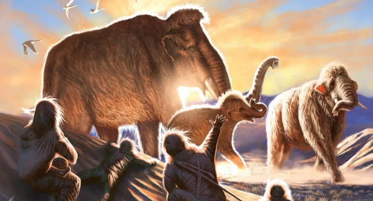 Peneliti Ungkap Lokasi Homo erectus Berburu dan Menyembelih Gajah