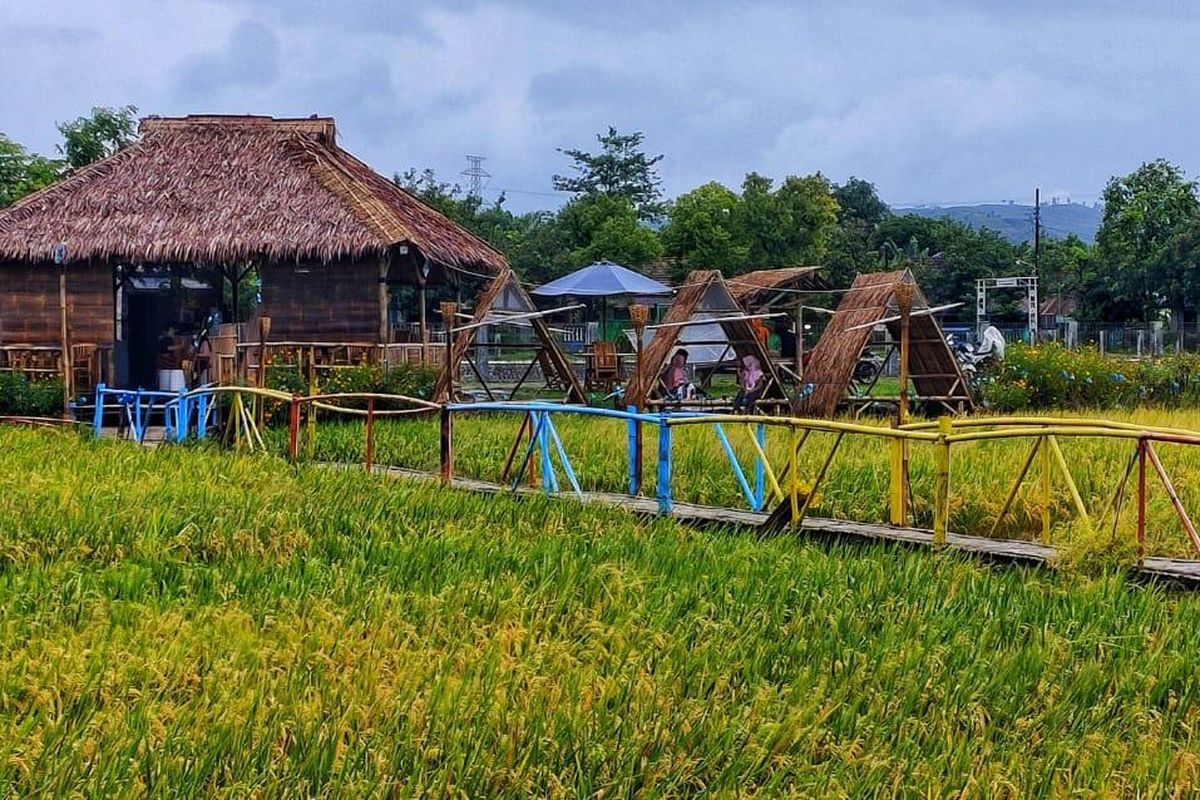 Sabin Caffe, kafe di Desa Tanjungrejo, Kudus, Jawa Tengah yang berada di tengah persawahan