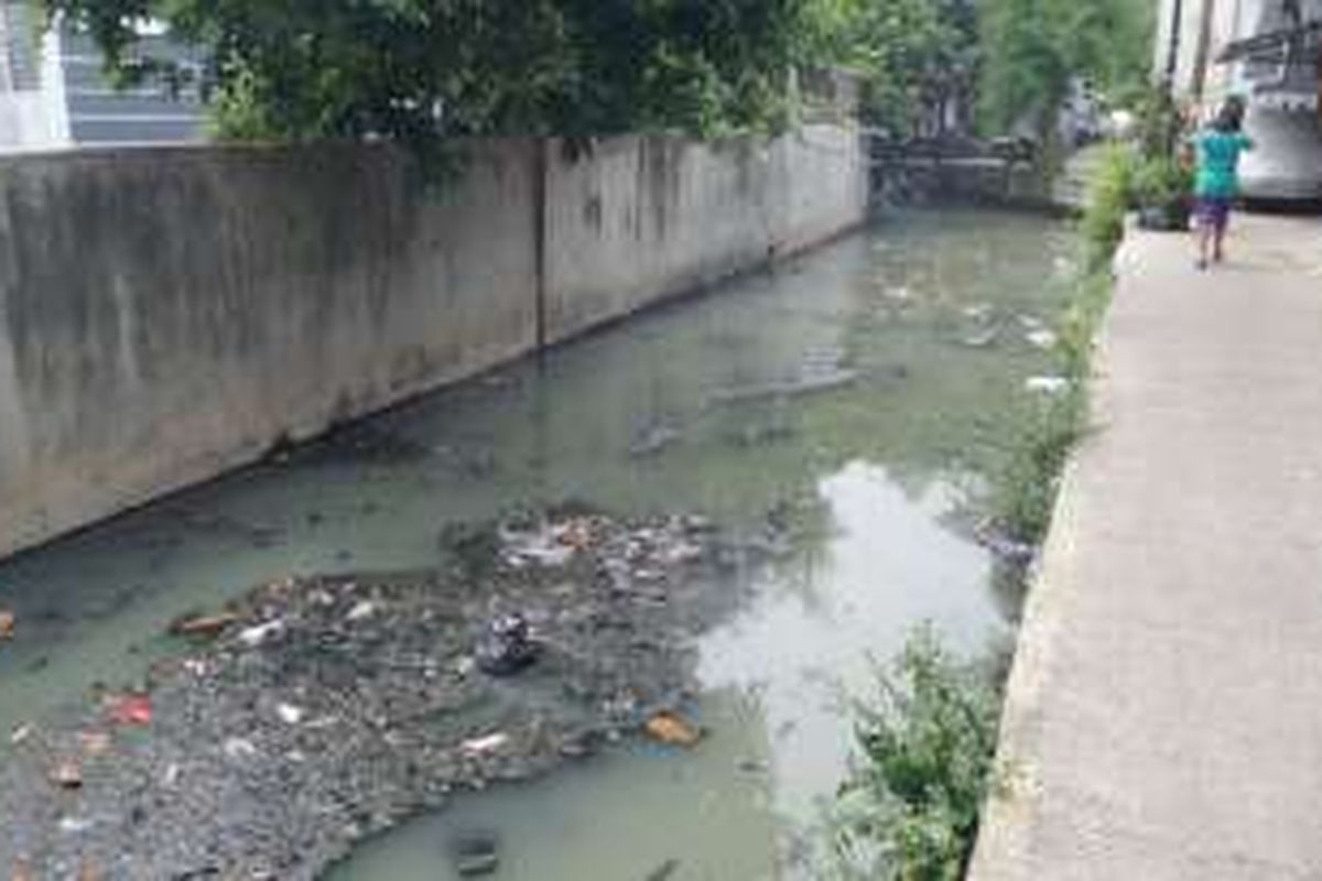 Senin (23/5/2016), tumpukan sampah serta endapan lumpur yang menyebabkan sungai bewarna hitam menjadi wajah sungai di Pademangan Timur yang menjadi sungai pertama dikunjungi oleh Joko Widodo saat menjabat sebagai Gunernur