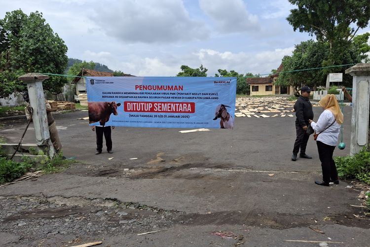 PMK di Lumajang Capai 1.143 Kasus, Pj Bupati Enggan Tetapkan KLB