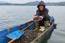 Kisah Sukses Bumdes Mekar Jaya di Kuningan, Ubah Limbah Tutut menjadi Kuliner Khas