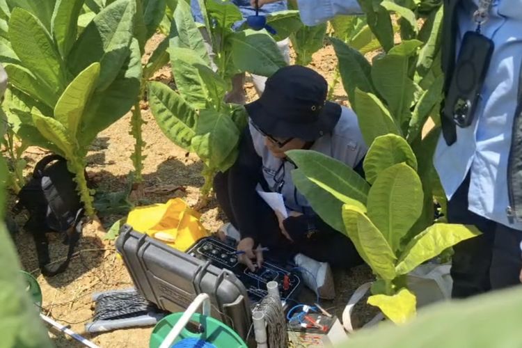 Suara Misterius Muncul dari Dalam Tanah di Sampang, ESDM Jatim Lakukan Pengecekan