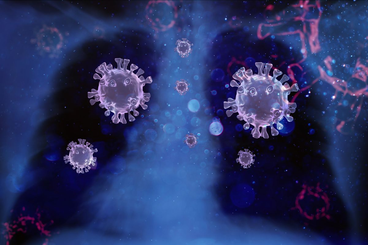 Ilustrasi virus corona di dalam organ paru-paru. Jumlah virus corona yang tinggi di dalam paru-paru menjadi penyebab kematian Covid-19.