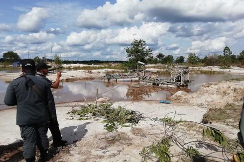 700 Hektar Lahan di Cagar Alam Mandor Kalbar Rusak akibat Tambang Ilegal