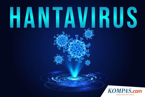 INFOGRAFIK: Hantavirus