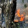 Terjun ke Jurang, Mobil Pengangkut Bahan Bakar dan Makanan di Bone Bolango Terbakar