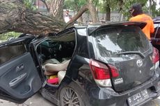 Dua Mobil Tertimpa Pohon Tumbang di Serpong, Seorang Sopir Luka-luka
