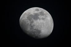 Percobaan Selama 4 Tahun Tunjukkan Tanaman Bisa Tumbuh di Bulan