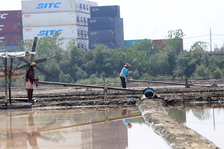 Petani tambak garam di di pesisir pantai Kampung Greges, Kelurahan Tambak Sarioso, Kecamatan Asemrowo, Kota Surabaya, saat mengangkut hasil panen garam, Rabu (6/10/2021).