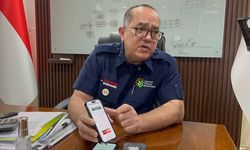 Agrinas Pangan, dari Urus Lahan Food Estate, Kini BUMN Importir Mobil