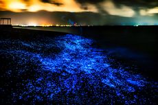 Unik, Maladewa Punya Keindahan “Lautan Bertabur Bintang”