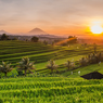 Wow! Ubud Jadi Kota Ke-4 Terbaik Sedunia, Kalahkan Kyoto dan Tokyo