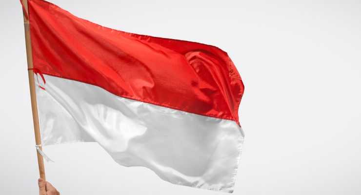 2024: Tahun "Vivere Pericoloso"