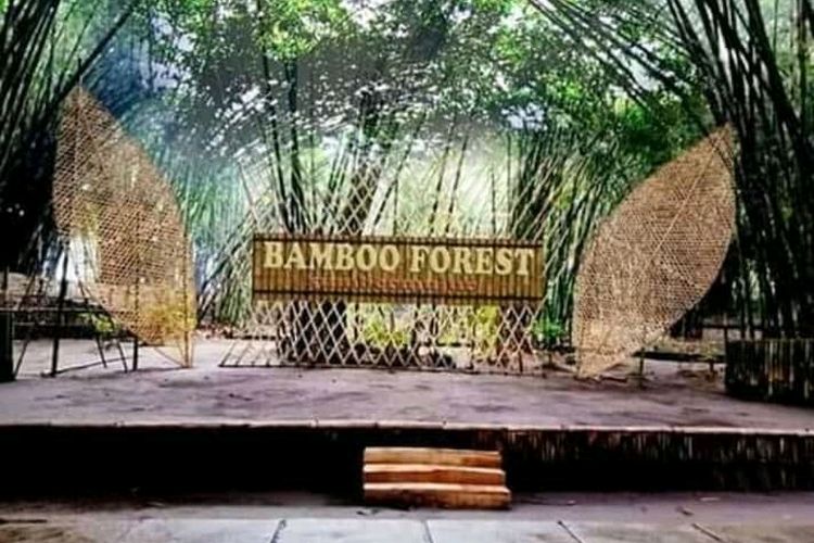 Hutan Bambu Lumajang, Jawa Timur. 