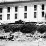 Pertempuran Alcatraz, Upaya Napi Kabur dari Penjara Terseram di Dunia
