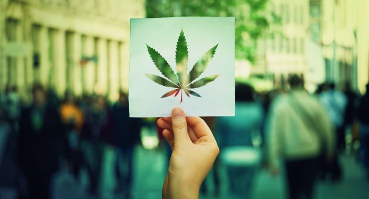 Bisakah Ganja Menjadi Obat Kanker di Masa Depan? Begini Kata Sains