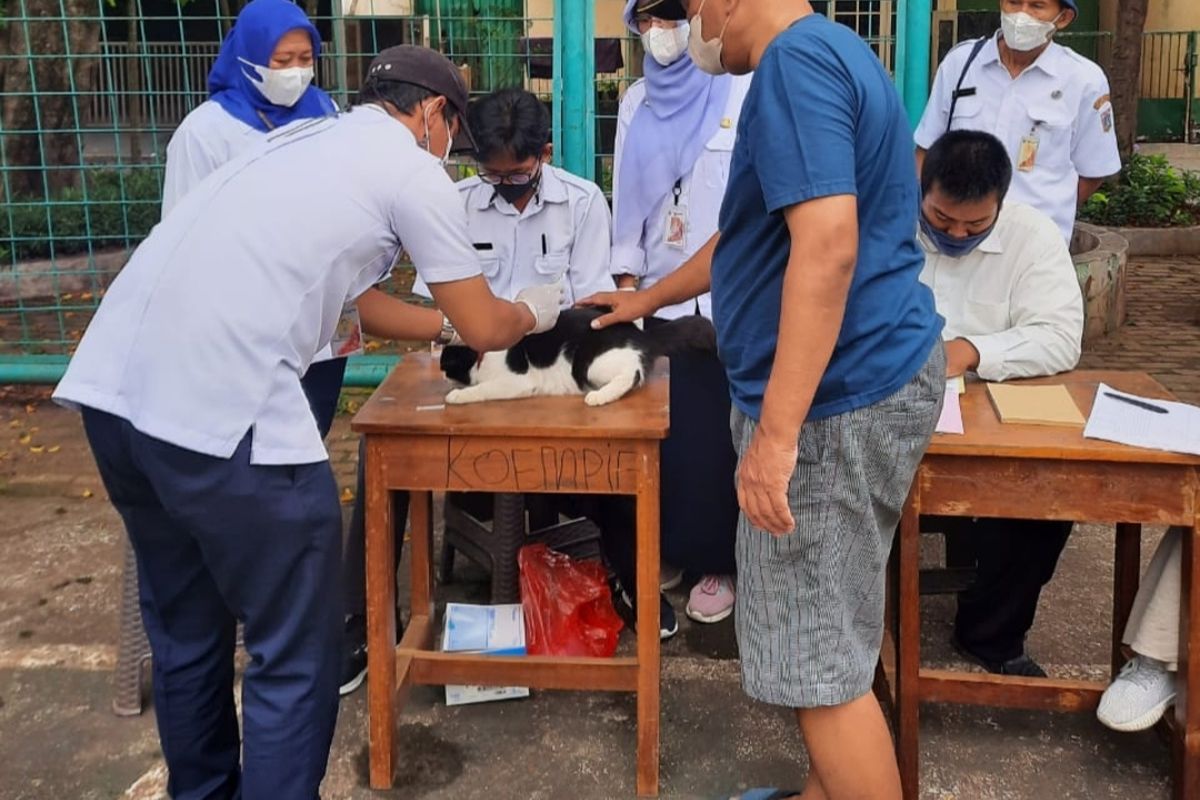 Ada 75 Hewan Penular Rabies (HPR) milik warga di IKPN Bintaro, Pesanggrahan, Jakarta Selatan, disuntik vaksin untuk mencegah penularan rabies di wilayah Jakarta Selatan. 