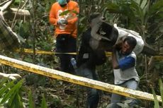 Kades: Pembunuh Gajah di Aceh Bukan Warga Setempat